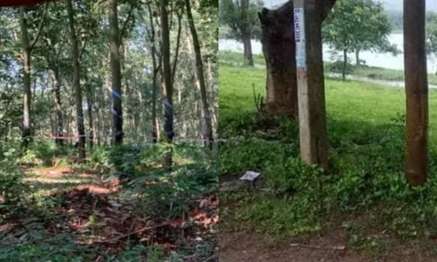 Phát hiện thi thể người phụ nữ trong công viên với nhiều vết thương