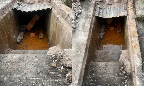 Thấy có 'vật thể lạ' trong vườn, cặp vợ chồng đào xuyên đêm, kinh ngạc phát hiện thứ ẩn giấu bên dưới