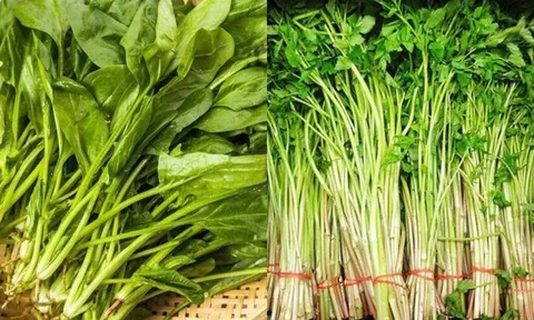 6 loại rau quen thuộc nếu không trần qua trước khi nấu chẳng khác gì 'thuốc độc', nhiều người không biết