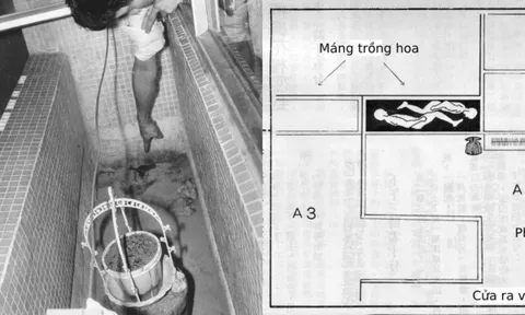 Phát hiện 2 thi thể bị quấn vải trắng trong bồn hoa đổ kín xi măng