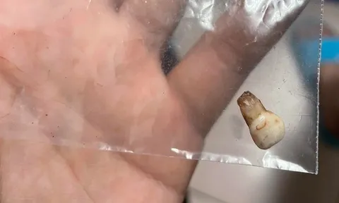 Bé 9 tháng bị đè nghẹt dưới chăn đến tử vong, bảo mẫu vô cảm bỏ mặc suốt 3 giờ