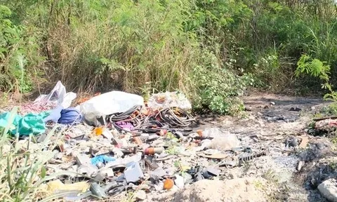 Phát hiện thi thể trong rừng bị bao tải phủ lên thương tâm: 10 tiếng truy vấn người vợ lộ kế hoạch tàn nhẫn