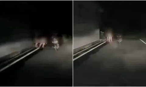 Tài xế đứng hình bắt gặp cặp đôi khỏa thân trên đường vắng: Hành động sau đó khiến cư dân mạng ngỡ ngàng