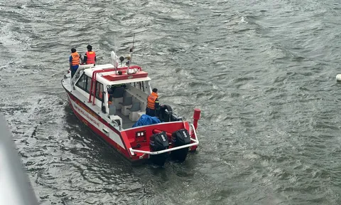 Nam thanh niên nhảy cầu sông Hàn, người đi đường bất ngờ chỉ kịp chứng kiến nạn nhân chới với giữa sông