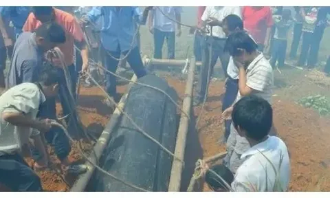 Vợ nghe tiếng kêu cứu từ mộ chồng, mở nắp quan tài bủn rủn chân tay phát hiện điều không ngờ