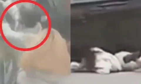 Cô gái trẻ điên cuồng lao vào xe thần tượng bị xe hất ngã vẫn không chịu dừng