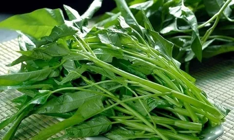 Loại rau giá rẻ đang vào mùa được ví như 'nhân sâm bình dân' của người Việt: Mang lại lợi ích sức khỏe đáng kinh ngạc