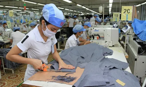 Tin vui: Từ 1/7/2025, hàng triệu người lao động không chính thức sẽ được hưởng quyền lợi tốt chưa từng có