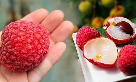 Kẻ thù 'không đội trời chung' của quả vải: Thèm đến mấy tuyệt đối không ăn cùng kẻo rước họa vào thân