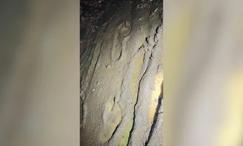 Phạm nhân nguy hiểm dùng chăn làm thành dây tự chế vượt ngục, cơ quan chức năng phát lệnh truy nã