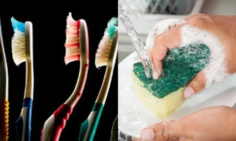 3 thứ bẩn nhất trong nhà là ổ vi khuẩn nhưng ai cũng thường xuyên sử dụng mỗi ngày, số 1 khiến bạn giật mình