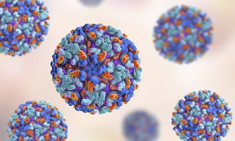 Bệnh Chikungunya đang lan rộng toàn cầu là gì? Nguyên nhân, triệu chứng và cách điều trị