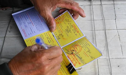 Từ tháng 8/2025: Người dân được bồi thường tới 500 triệu đồng nếu có bảo hiểm xe máy bắt buộc phải không?