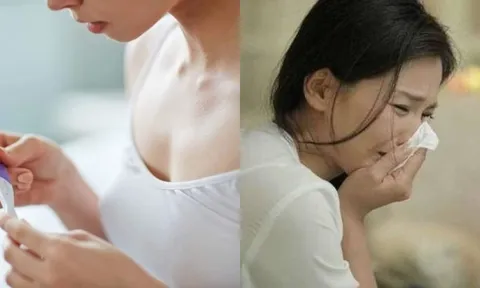 Nửa đêm, nữ đồng nghiệp gọi điện cho chồng vừa khóc vừa nói 'em 2 vạch rồi', bí mật phía sau khiến tôi sững sờ