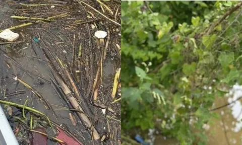 Phát hiện thi thể người phụ nữ khỏa thân đang phân hủy trên sông, 1 chi tiết gây ám ảnh từ hiện trường