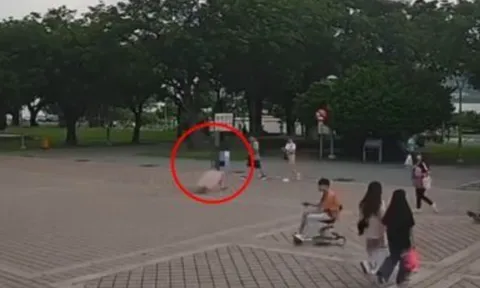 Cụ bà 93 tuổi mất tích, thi thể được phát hiện trong vali: Camera ghi lại cảnh con dâu kéo vali đi phi tang, lời khai rúng động