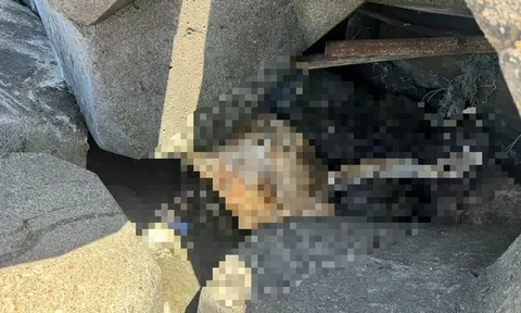 Phát hiện thi thể nữ giới không mặc quần áo mắc kẹt trong khối bê tông chắn sóng