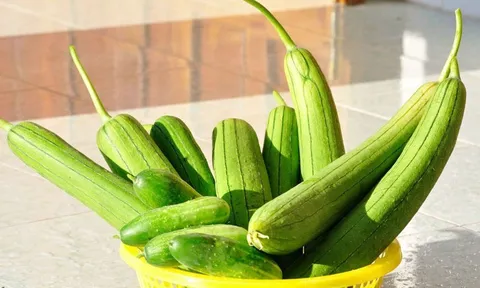 Cả gia đình nhập viện sau khi ăn mướp: Loại rau dân dã nhưng tiềm ẩn độc tố nhiều gia đình vẫn chủ quan ăn sai cách