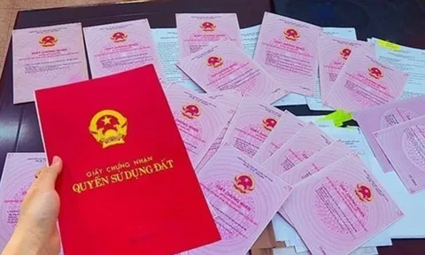 Hàng triệu người được hưởng lợi từ Luật Đất đai 2025: Quyền lợi đặc biệt chưa từng có, bỏ qua sẽ tiếc