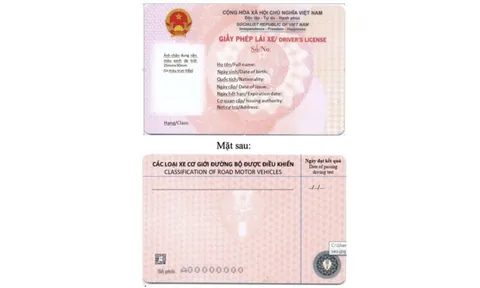 Từ nay đến 31/12/2025: Không đổi GPLX mới màu hồng sẽ bị phạt phải không, thông tin quan trọng ai cũng cần biết