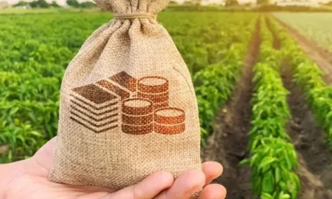 Tin vui: Từ nay, hàng nghìn hộ gia đình được hưởng 1 khoản lợi lớn, tiết kiệm được số tiền không nhỏ, ai cũng cần biết