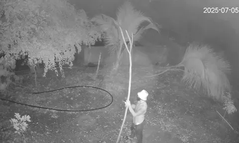 Cip: 1 phút tung hoành của 2 thanh niên, đột nhập nhà dân 2 lần bắt gọn đàn gà