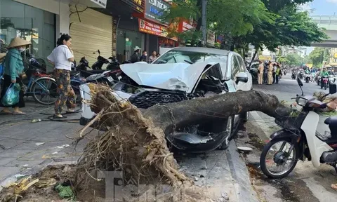 Giám đốc Công an Hà Nội chỉ đạo khẩn trương điều tra vụ nữ tài xế tông loạt xe máy khiến 1 người tử vong