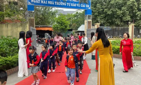 Tin vui: Chính phủ sẽ xếp lại bảng lương của giáo viên mầm non, phổ thông, những ai được hưởng lợi?