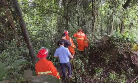 Hơn 100 cảnh sát cùng người dân tìm kiếm 1 chàng trai trong rừng: Lý do "mất tích" khiến người ta muốn mắng hơn là thương