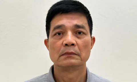 Điểm chung trong 2 vụ án mà cựu Cục trưởng Nguyễn Thanh Phong bị khởi tố