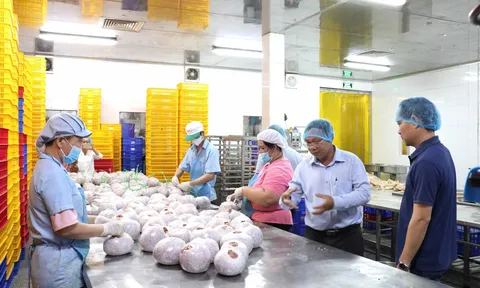 Linh hoạt quy trình nộp thuế hỗ trợ các hộ kinh doanh