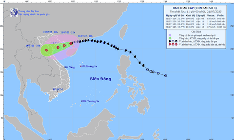 Tin bão khẩn cấp: Bão số 3 Wipha đổ bộ trong 48 giờ tới vào tỉnh, thành nào?