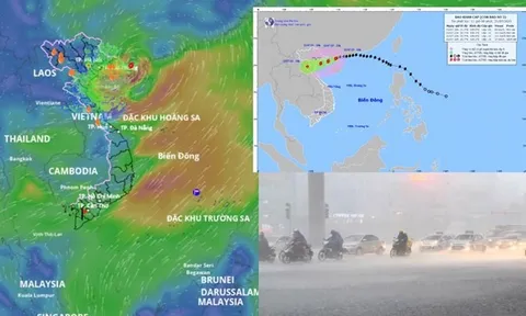 Bão số 3 Wipha: Dự báo về thời gian mưa to nhất và vùng mưa nhiều nhất