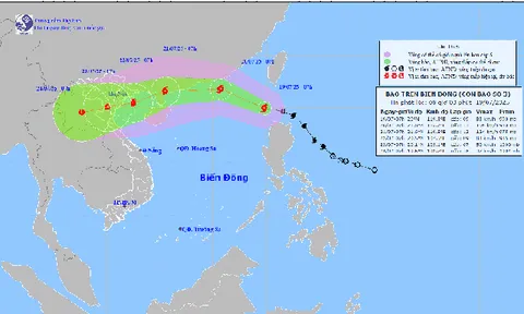 Bão số 3 (bão WIPHA) rất mạnh, di chuyển nhanh phạm vi, cường độ ảnh hưởng rất rộng và nguy hiểm