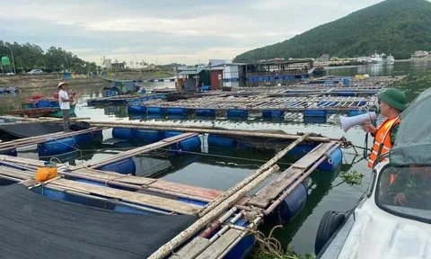 Nghệ An ghi nhận những thiệt hại về người đầu tiên khi bão số 3 còn ở ngoài khơi