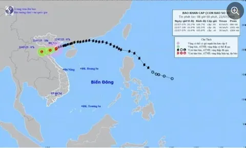 Bão số 3 đổ bộ, nhiều nơi gió giật cấp 12