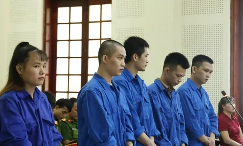 Cận mặt gái xinh mưu mô lừa người đàn ông U70 hơn 19 tỷ đồng: Chiêu thức vô cùng lắt léo