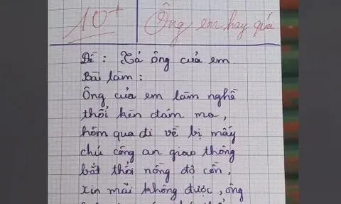 Đọc nội dung bài văn "tả ông nội làm nghề thổi kèn đám ma", cô giáo quyết định chấm 10 điểm vì điều này