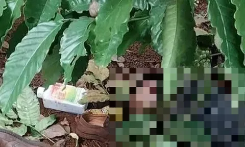 Nghi phạm sát hại người phụ nữ trong nhà nghỉ đã tử vong: Hiện trường có gì?