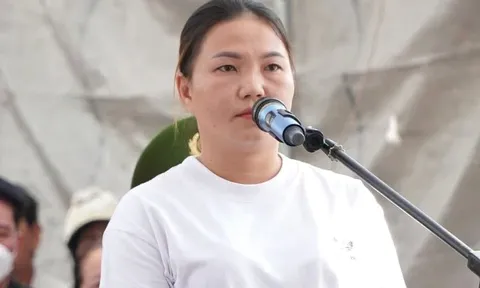 Dùng mũ bảo hiểm đánh công an, người phụ nữ lĩnh án