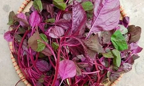 4 loại "rau tăng chiều cao" cho trẻ vào mùa hè vì cực giàu canxi, có loại rau còn vượt trội hơn sữa bò