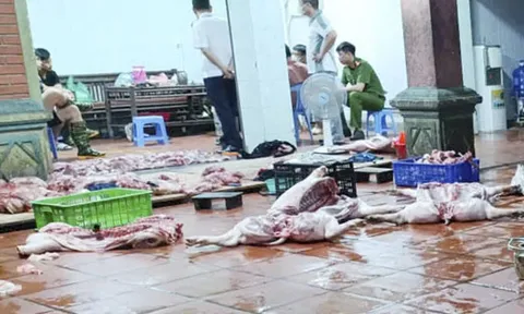 Rùng mình cơ sở giết mổ trái phép, bán lợn nhiễm dịch tả châu Phi, cận cảnh bên trong từng phản thịt chình ình gây ám ảnh