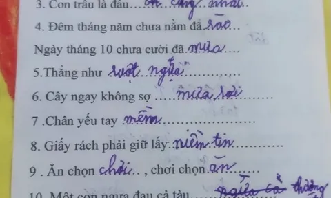 Bài tập tiếng Việt gây xôn xao cõi mạng vì loạt đáp án "có một không hai" của học sinh tiểu học
