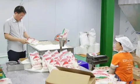 Giám đốc công ty sản xuất mì chính, dầu ăn giả từng làm quản lý thị trường là ai?