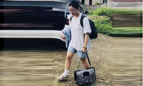Bị mẹ mắng vì để mèo đi vệ sinh bậy ra nhà, nữ sinh vừa đỗ đại học ôm mèo bỏ nhà đi