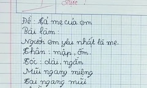 Viết văn tả về người mẹ “không có thật”, cậu bé lớp 2 bị cô giáo chấm 4 điểm