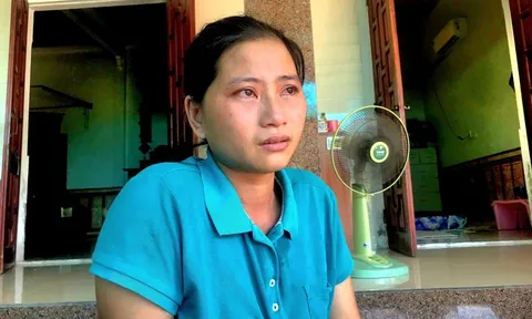 Vụ án "Gà lôi trắng": Kiểm lâm và chính quyền địa phương nói gì?