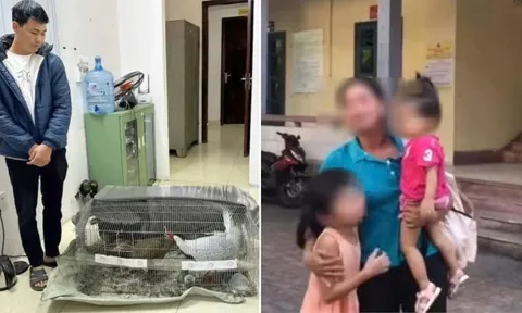 Vụ buôn gà lôi trắng bị phạt 6 năm tù: Luật sư nhận định cơ sở pháp lý với khả năng miễn trách nhiệm hình sự rất cao