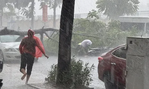 Cành cây gãy đè trúng ôtô và người đi đường ở Hà Nội trong cơn mưa dông lớn, hậu quả đáng tiếc