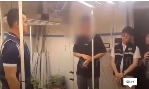 Bí mật kinh hoàng về quy trình sản xuất thạch hình trái tim khiến bé 2 tuổi nhập viện